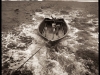 douglas_beasley_selfportraitasemptyboatnorway